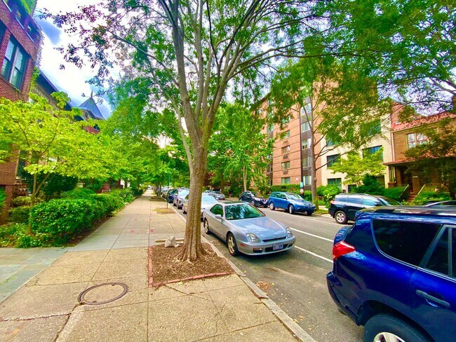 Building Photo - Dupont Circle 1 Bedroom Charmer with Patio, Fireplace, Central Air, Washer/Dryer!