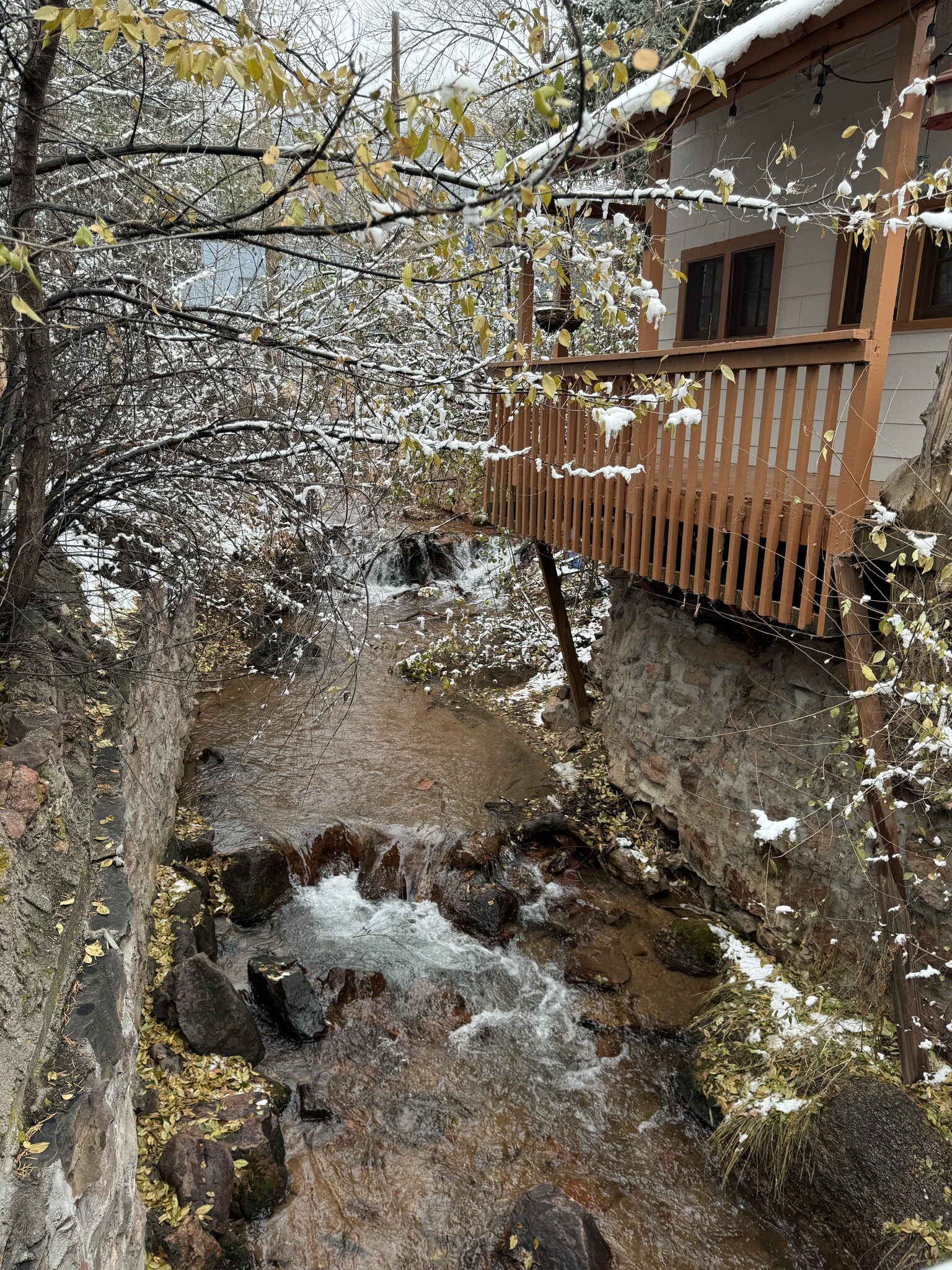 Building Photo - 312 Ruxton Ave