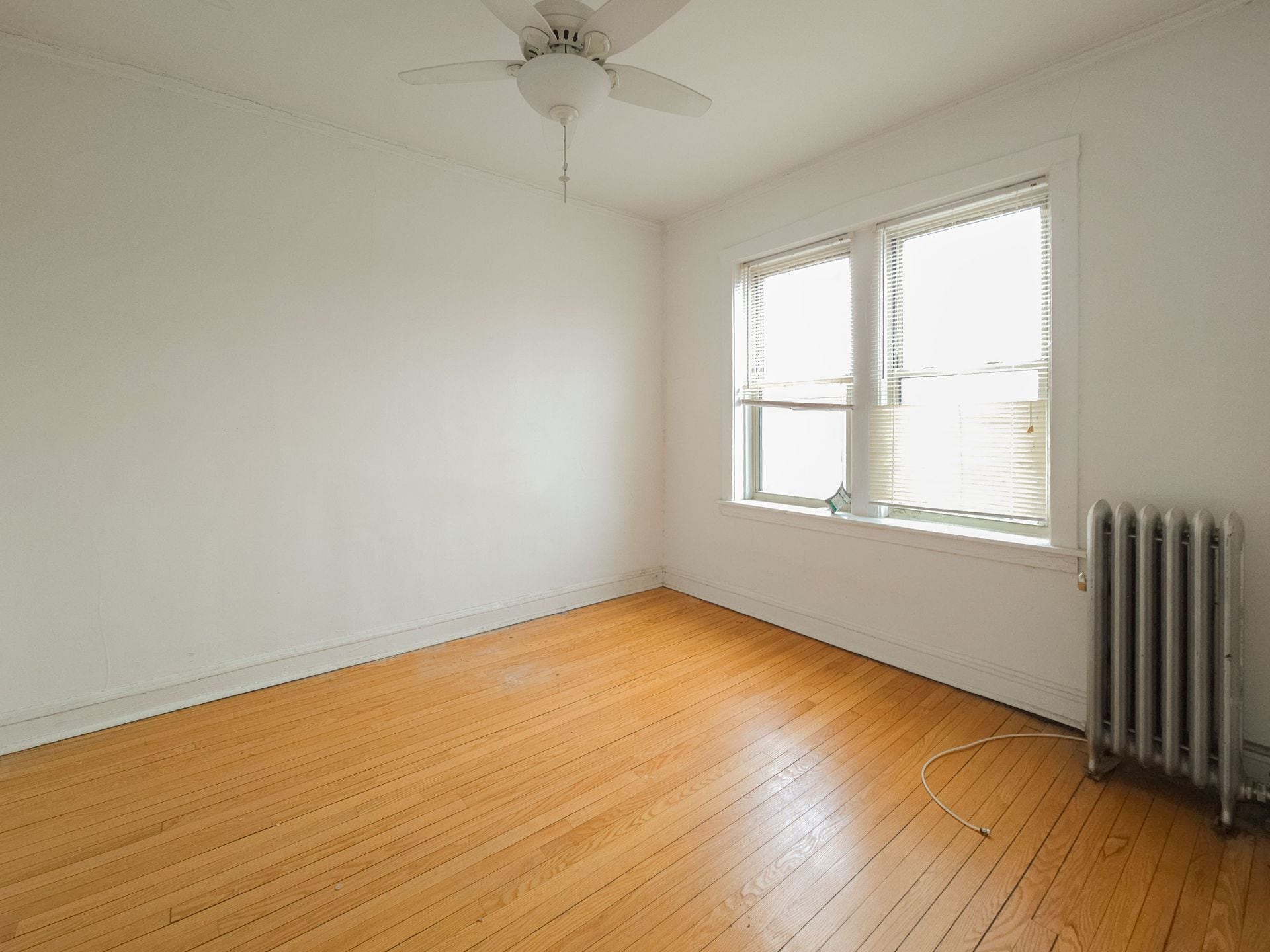 Building Photo - 1450 W Cornelia Ave