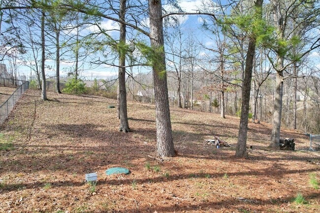 Building Photo - 217 Home Pl Ct SE