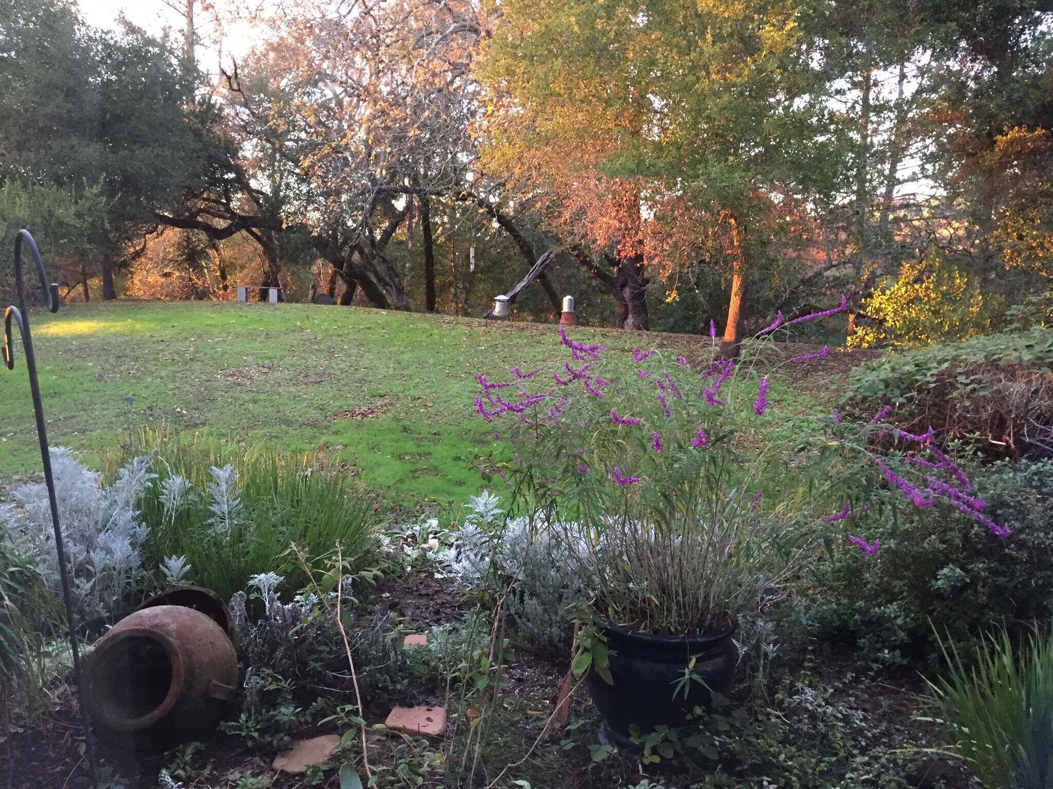 Greenbelt View from LR/DR/Patio - 2103 Stonefield Ln