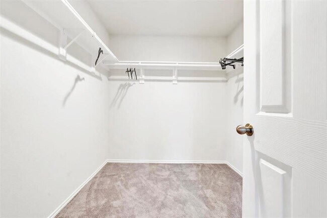 Building Photo - 4351 Stuebner Hl Dr