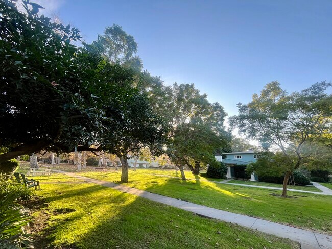 View from the front entrance - 5367 Village Grn