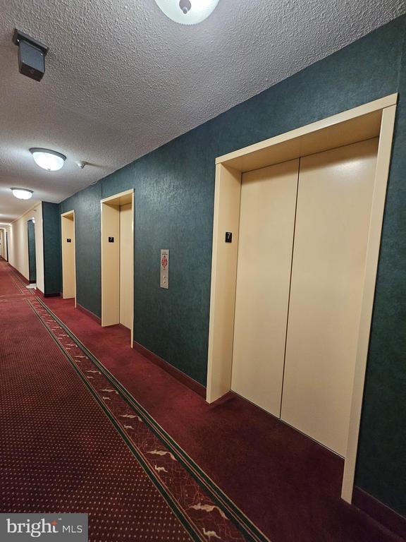 Building Photo - 3709 S George Mason Dr