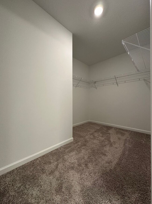 Building Photo - 2216 Bear Peak Dr