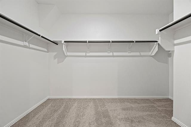 Building Photo - 3204 Royal Frst Dr