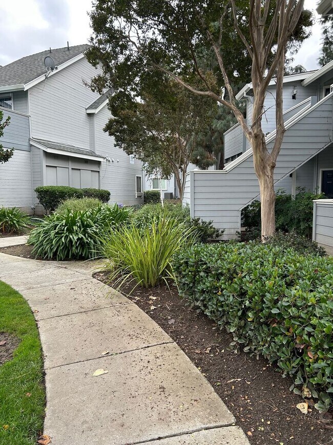 Building Photo - Spacious bright condo with new carpet and new paint and 2 bathrooms