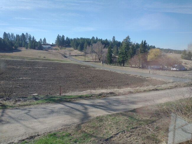 S view from house - 8209 S Hilby Rd