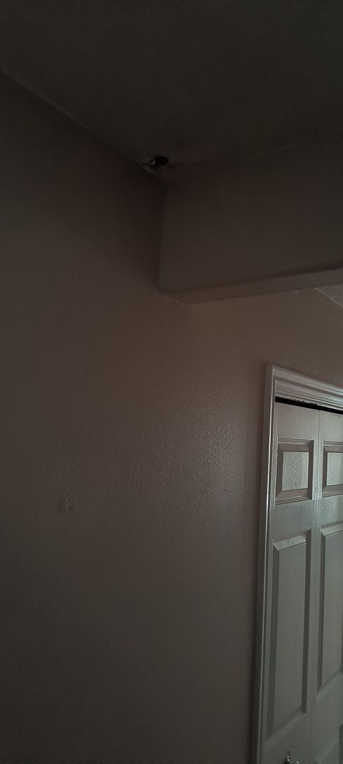 Building Photo - Spacious single family home in a quiet neighborhood