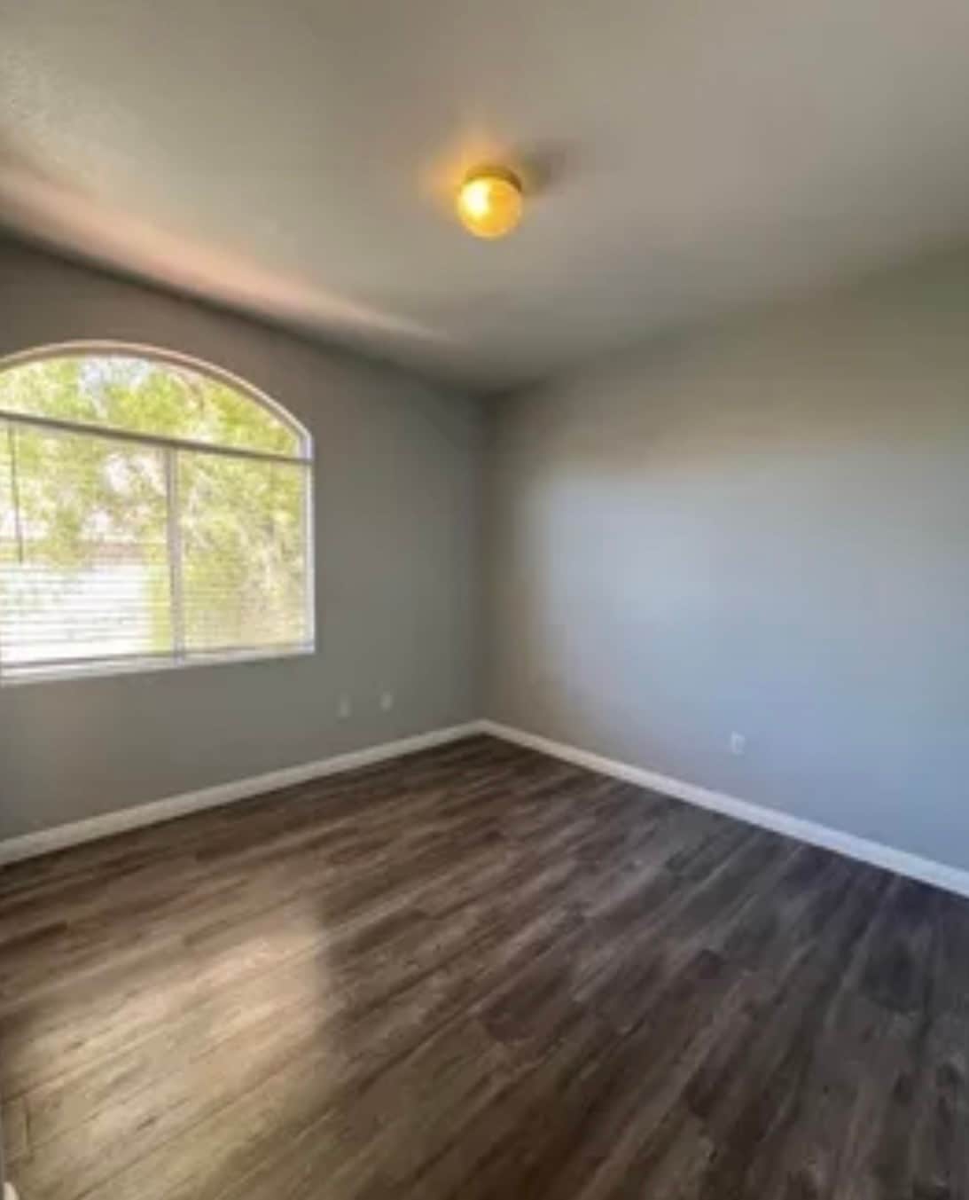 Building Photo - 700 Carnegie St