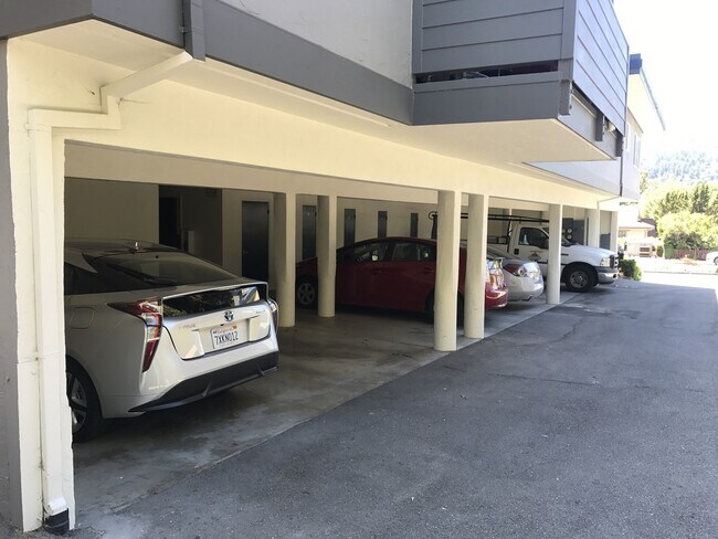 Building Photo - Stunning Remodeled 2BR/2BATHROOM Flat! Fir...