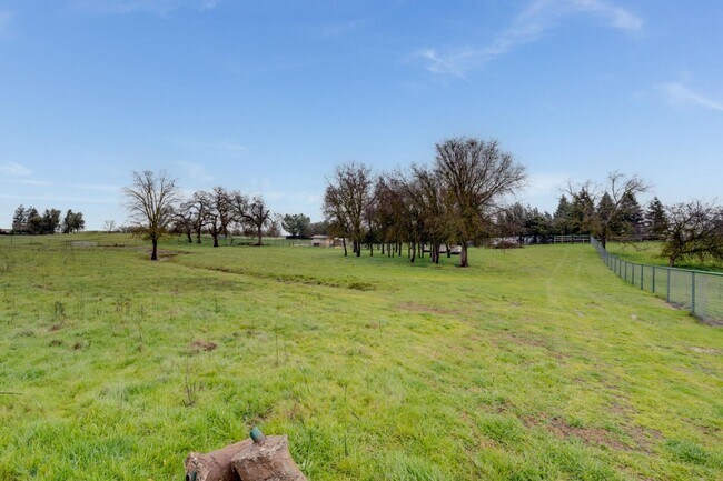 Building Photo - 12707 Leo Ln