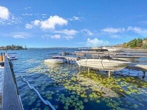 Building Photo - 1Bd/1Ba Kirkland Condo