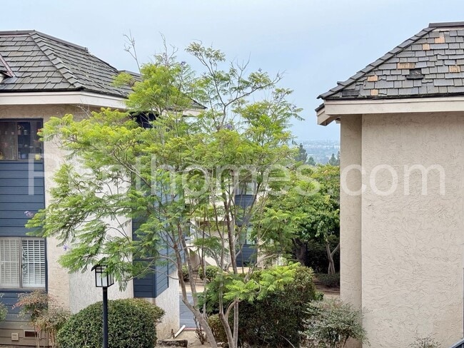 Building Photo - 3745 Balboa Terrace