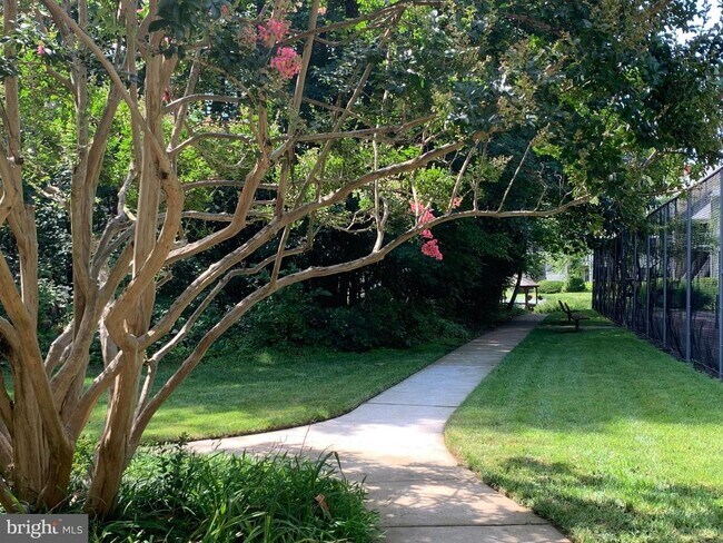 Building Photo - 12233 Fairfield House Dr