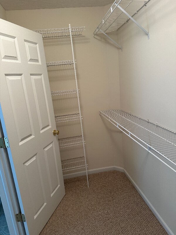 Building Photo - 5511 Benpatrick Ct