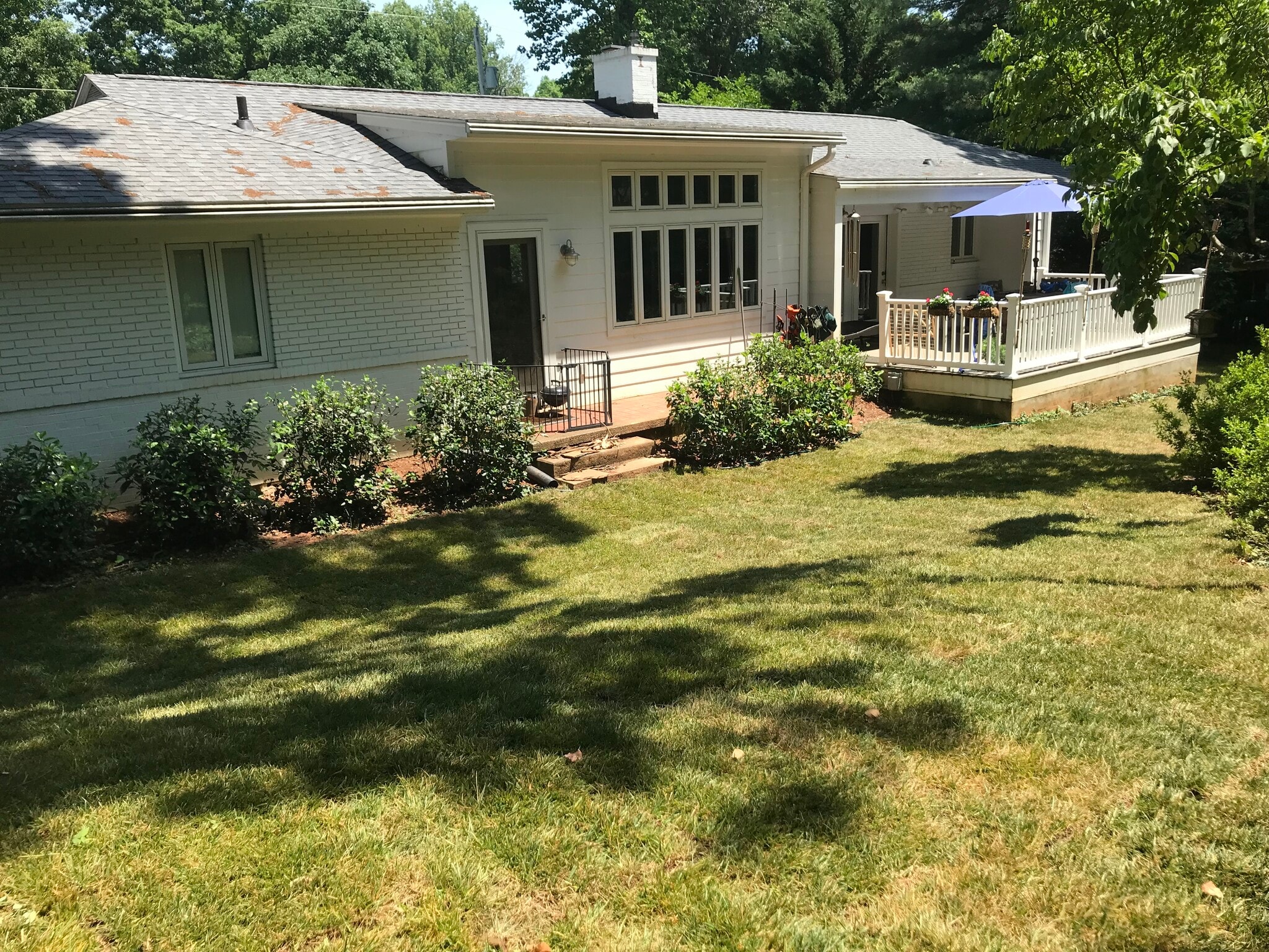 Fenced Back Yard - 3707 Manton Dr
