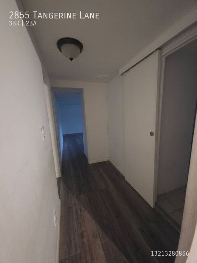 Building Photo - 2855 Tangerine Ln