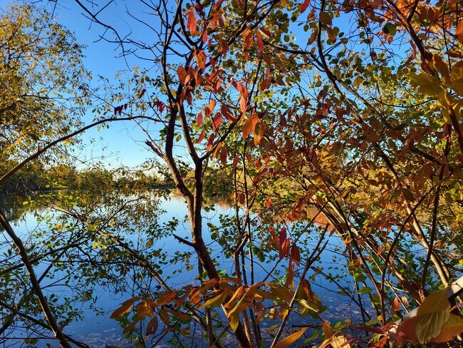 Building Photo - 11719 21 Mile Rd