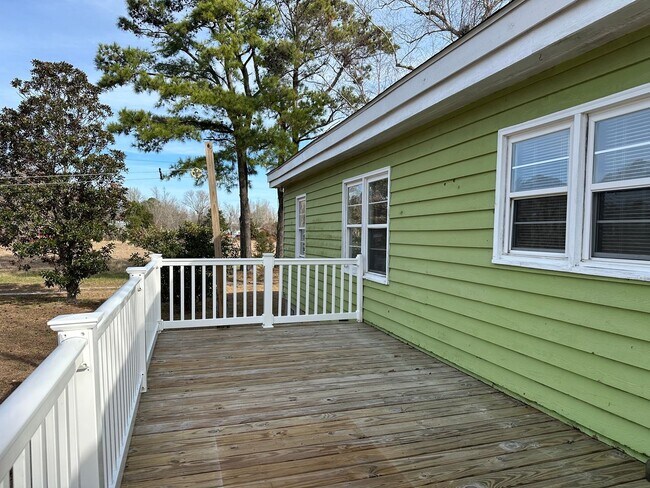Building Photo - 3 BR Home with Large Yard & 2-Car Garage in Hampstead