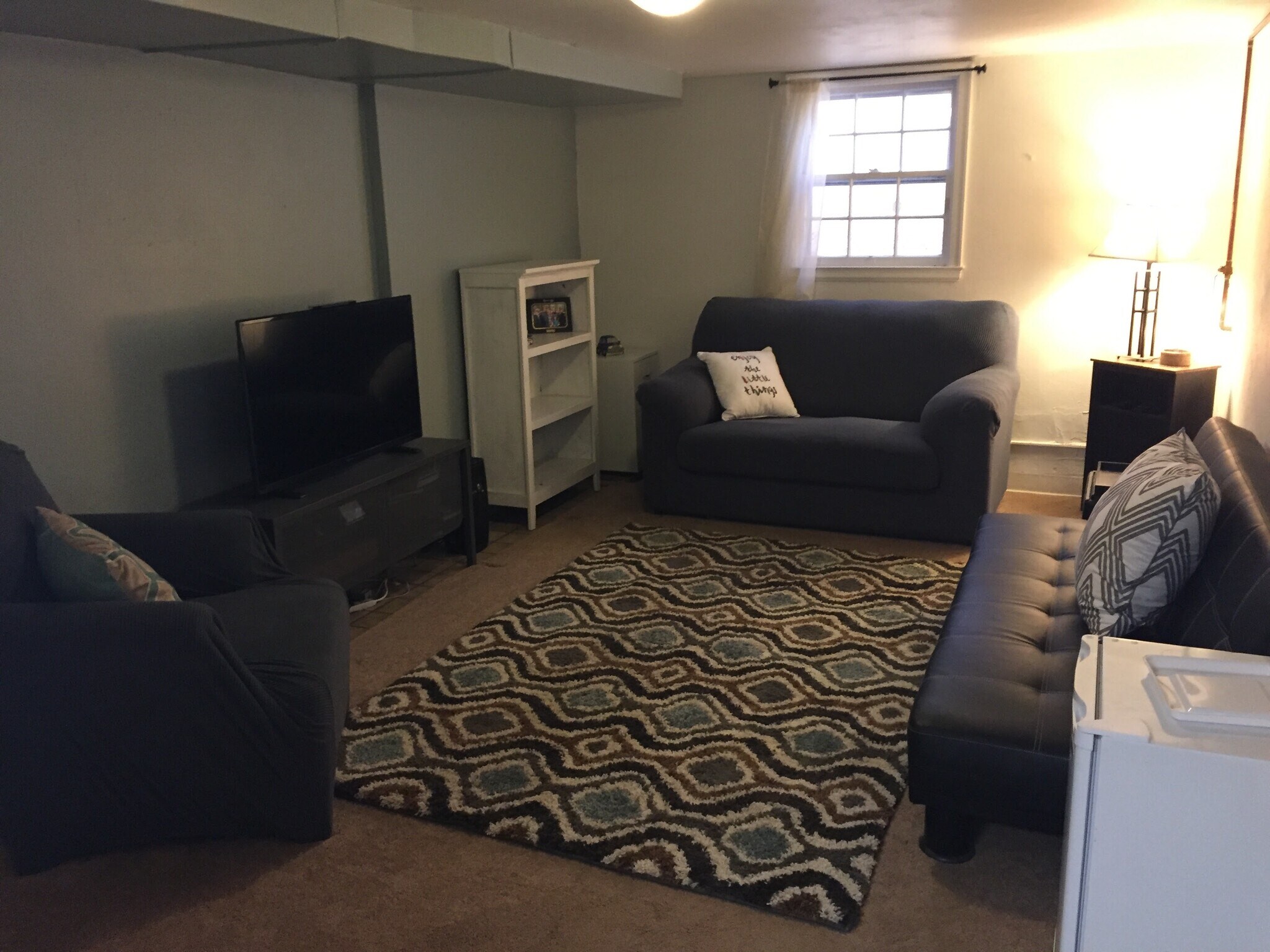 Basement living room (new flooring added last year so no more carpet) - 3131 Milwaukee St