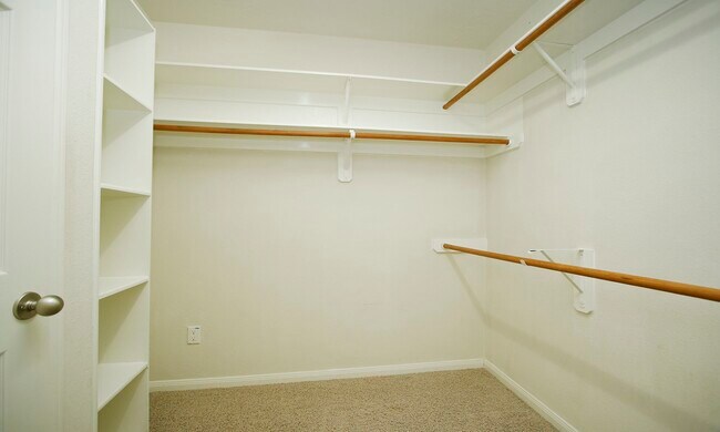 Building Photo - 11 Aquiline Oaks Pl