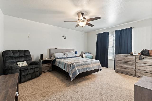 Building Photo - 10416 Winding Passage Way