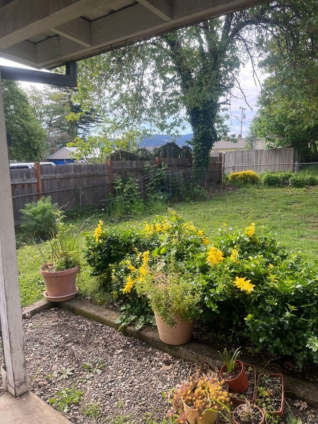 Building Photo - Nice 2 bedroom, 1 bath with yard.