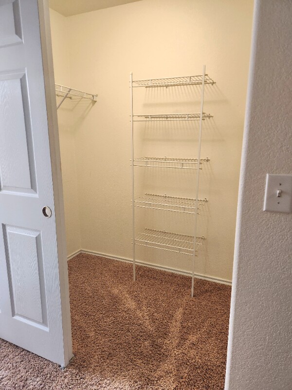 Building Photo - 4008 Riviera Grove