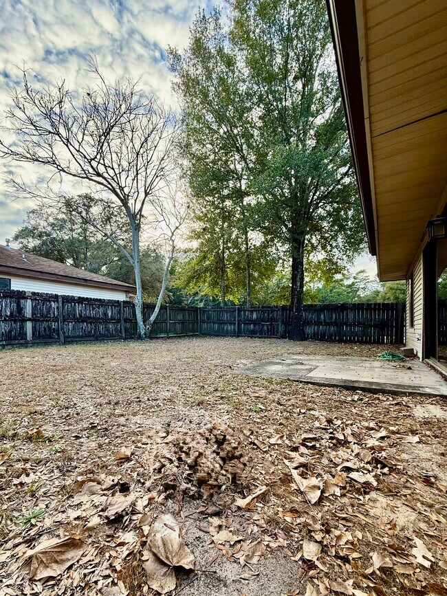 Building Photo - 2908 Alpine Pl