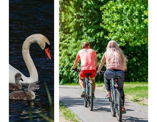 Building Photo - 5 Ferry St