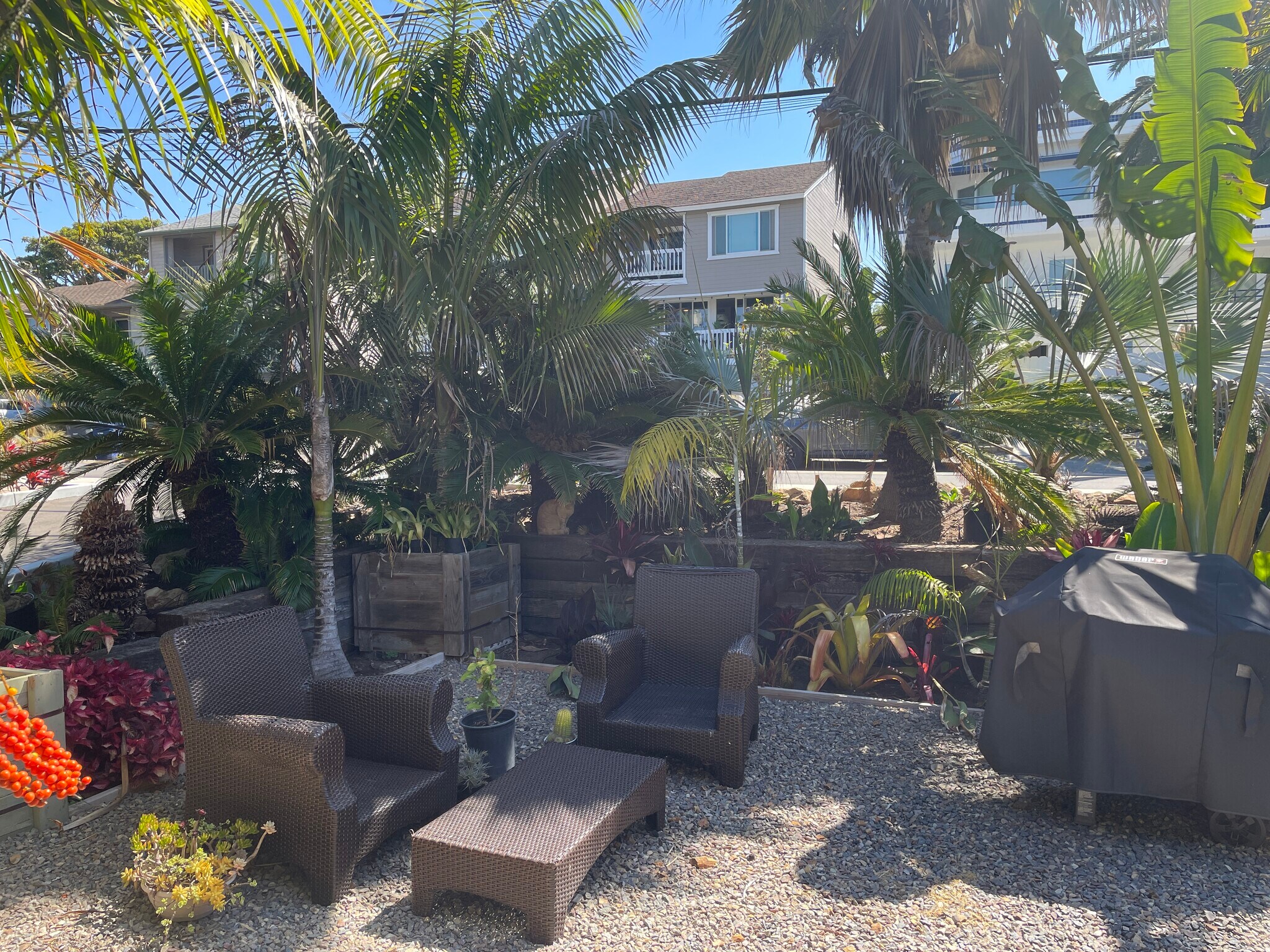 Tropical Landscaping - 818 Hygeia Ave