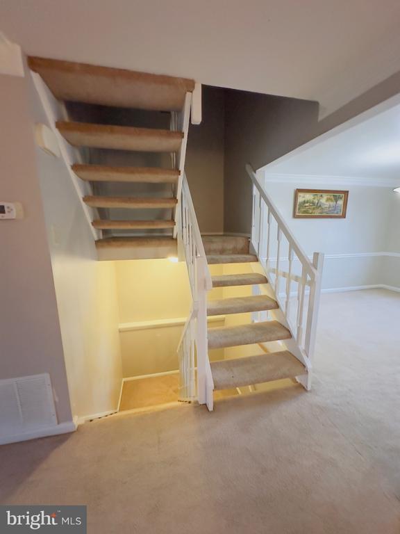 Building Photo - 3442 Belfry Ln