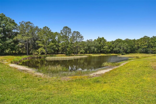 Building Photo - 8208 Pinewood Run Ct