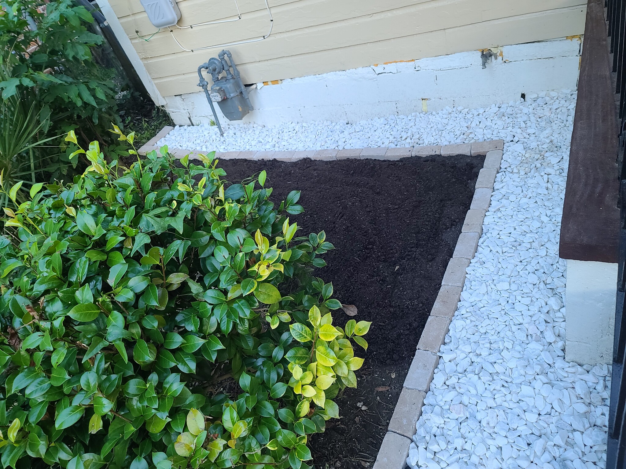 Front Landscaping - 1107 W 40th St