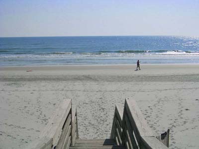 Building Photo - Remodeled beach condo steps away from the ...