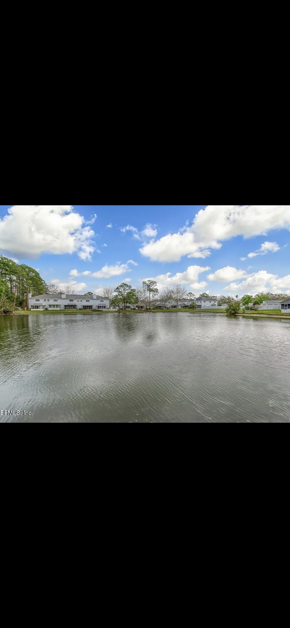 Backyard lake - 10961 Peppermill Ln