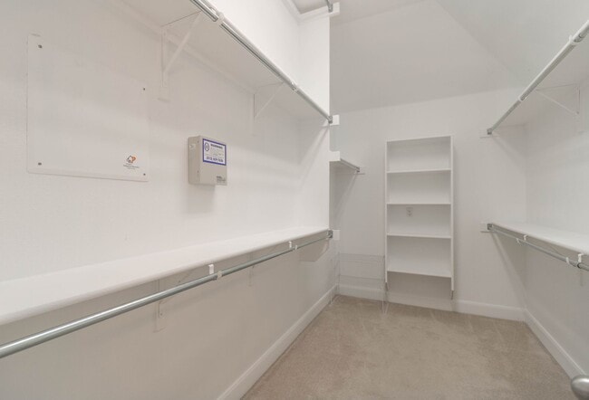 Building Photo - 2603 Salerno Pl