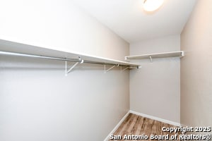 Building Photo - 3535 honey