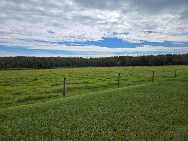 Building Photo - 3337 Perennial Ln