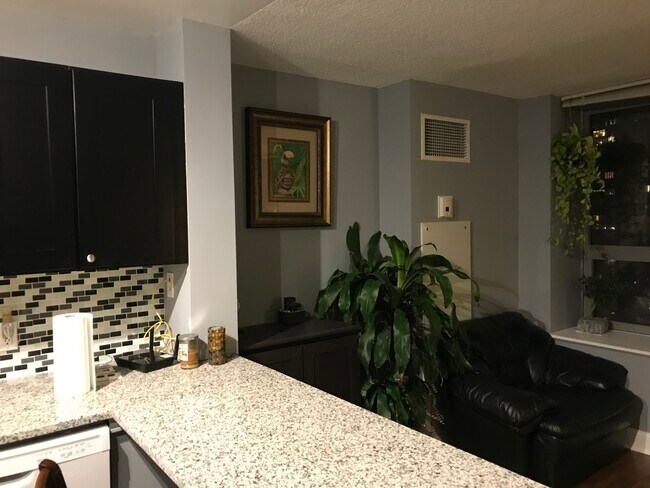 Building Photo - 474 N Lake Shore Dr