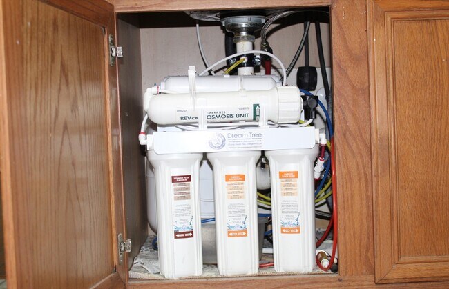 Building Photo - 19539 Harvest Stream Way