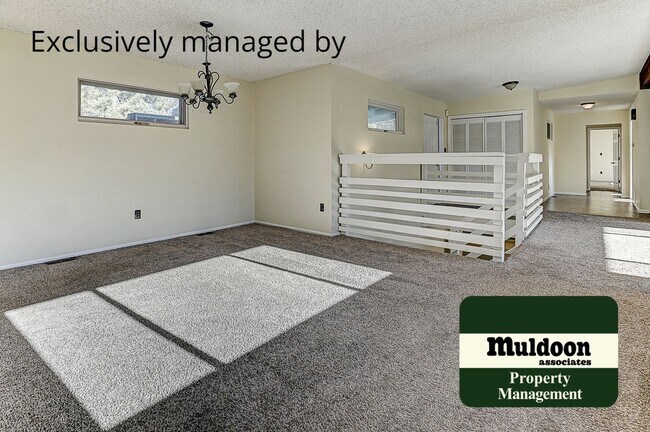 Building Photo - Coming soon, Stunning Black Forest Home!