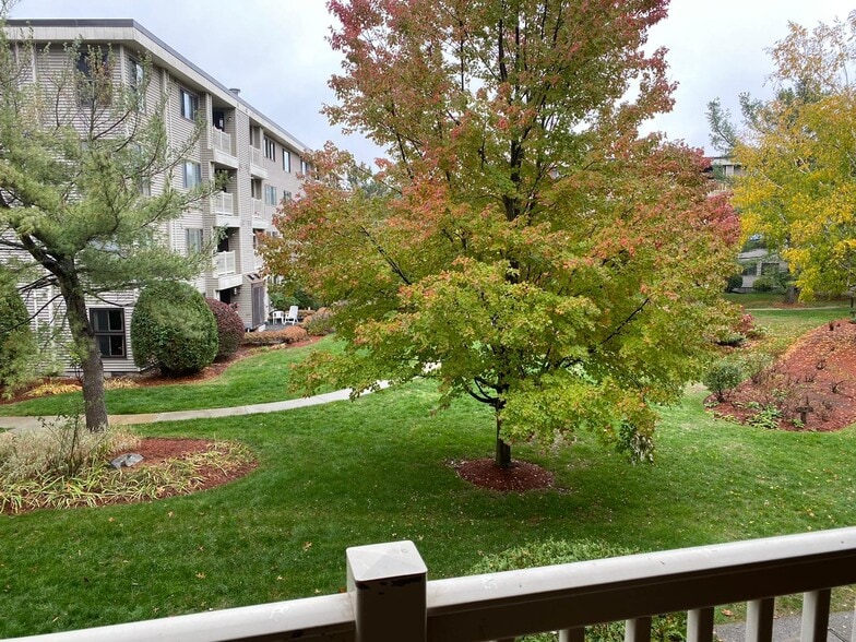 View from balcony - 255 North Rd