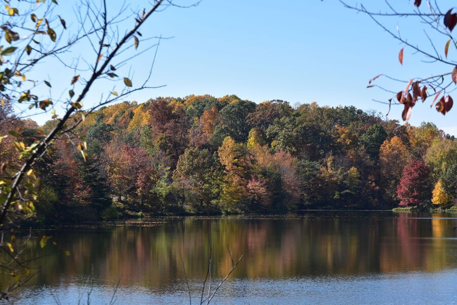 Building Photo - 5837 Norham Dr