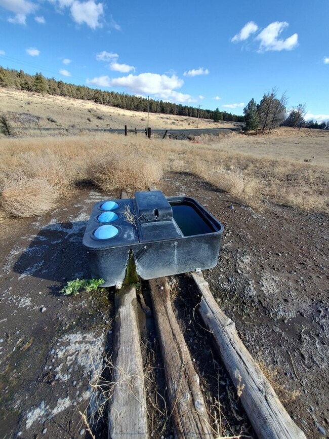 Building Photo - 3 Bedroom 2 Bath House with 7 Acres Horse Property