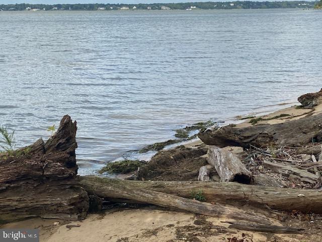 Building Photo - 1420 Riverside Dr