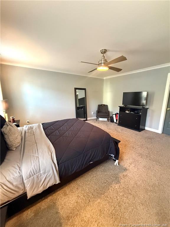 Building Photo - 171 Apache Trail