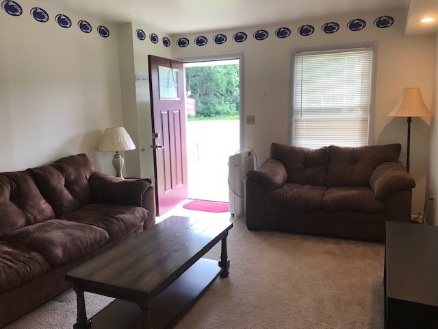 LivingRoom-1b - 101 N 6th Ave