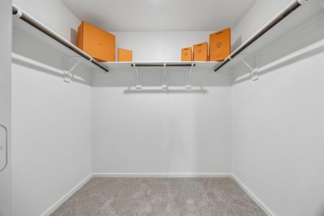 Building Photo - 3008 Tooley Dr